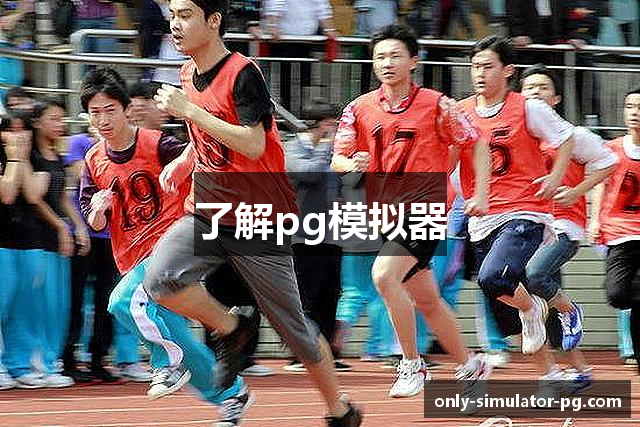 了解pg模拟器